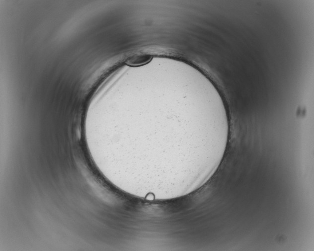 X0000111920062200908241101