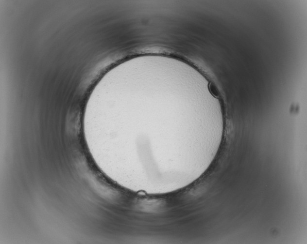 X0000111920063200908241101