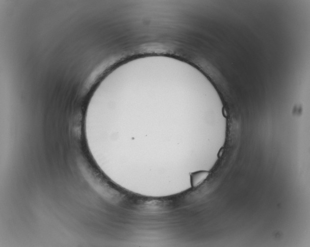 X0000111920064200908241101