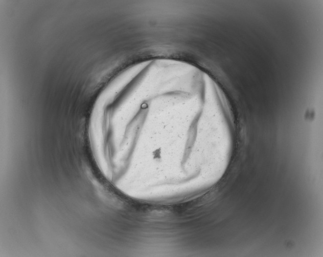 X0000111920066200908241101