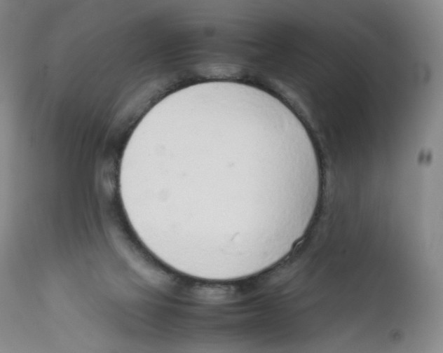 X0000111920069200908241101