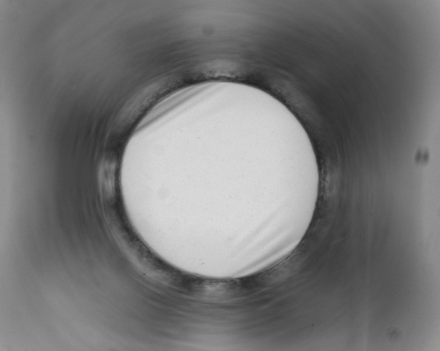 X0000111920070200908241101