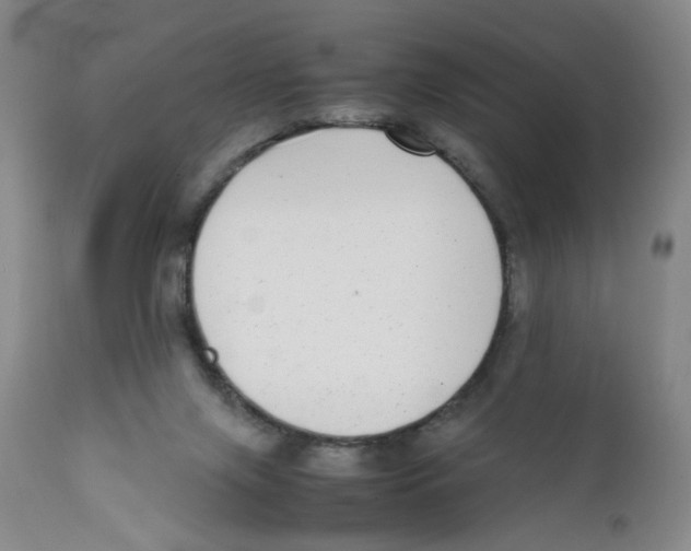 X0000111920071200908241101