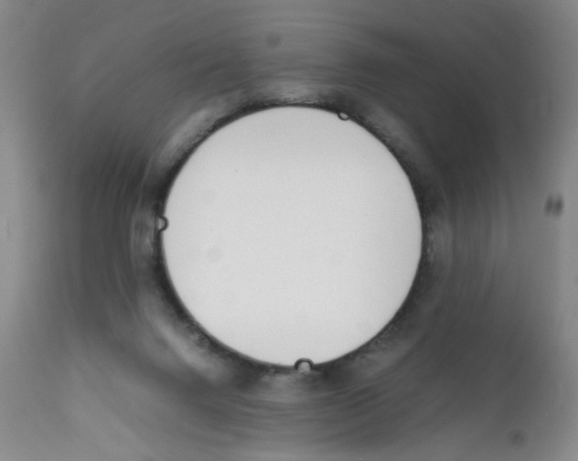 X0000111920072200908241101