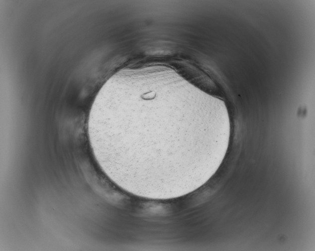 X0000111920073200908241101