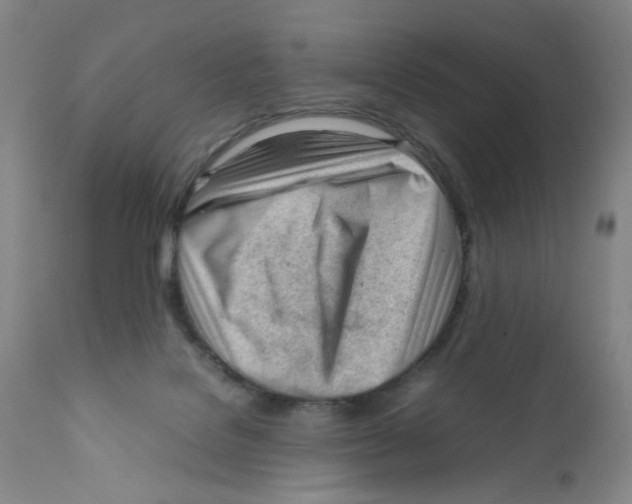 X0000111920076200908241101