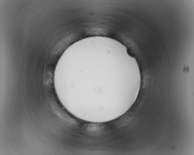 X0000111920077200908241101