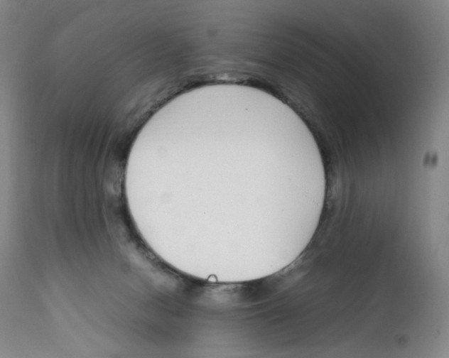 X0000111920078200908241101