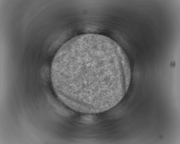 X0000111920079200908241101