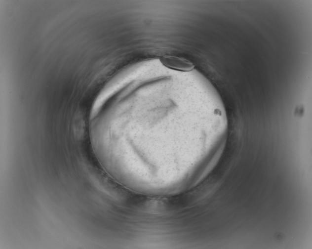 X0000111920080200908241101