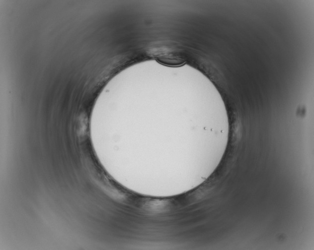 X0000111920081200908241101