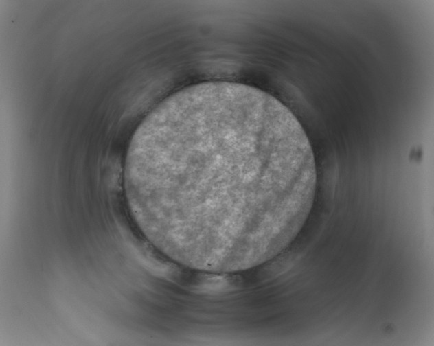 X0000111920083200908241101