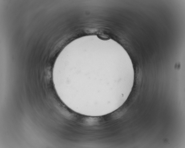 X0000111920085200908241101