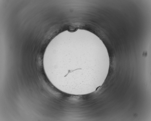 X0000111920086200908241101