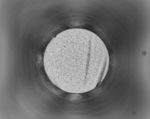 X0000111920087200908241101