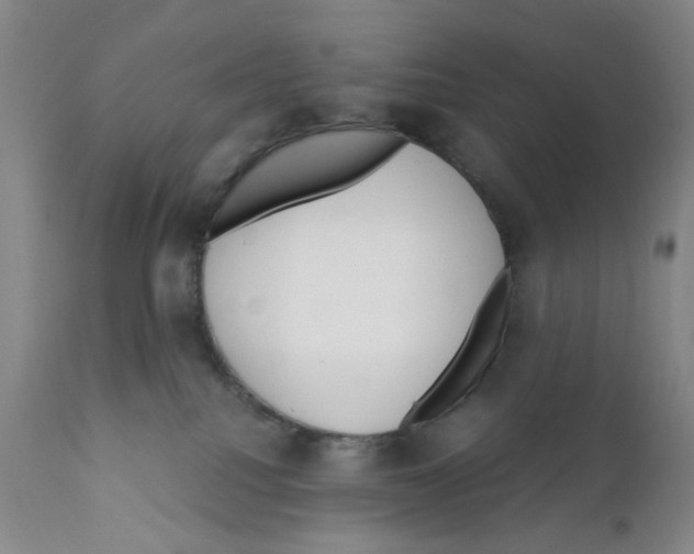 X0000111920088200908241101