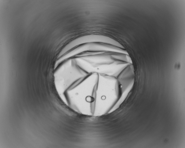 X0000111920092200908241101