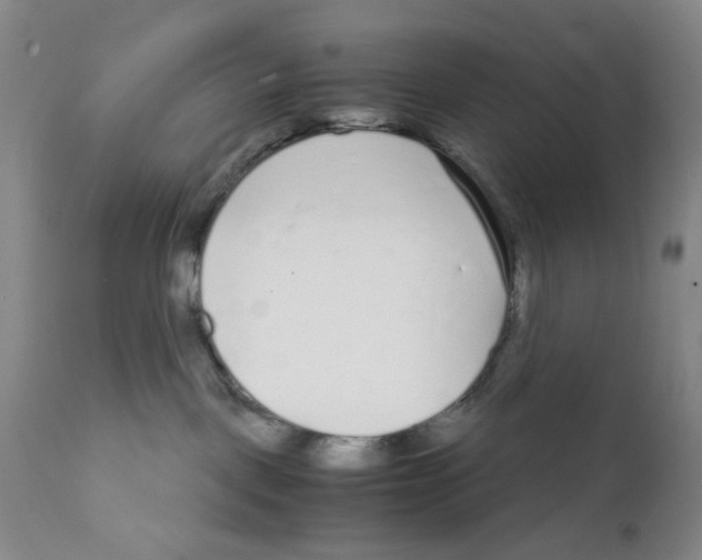 X0000111920093200908241101