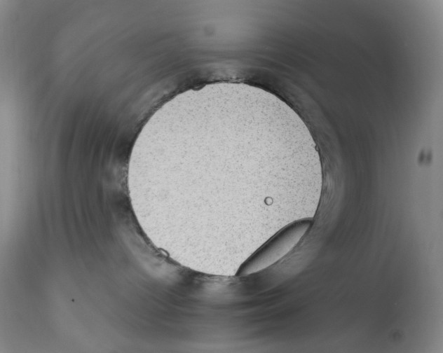 X0000111920096200908241101