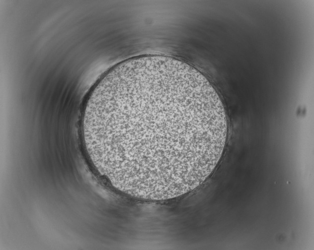 X0000111920098200908241101