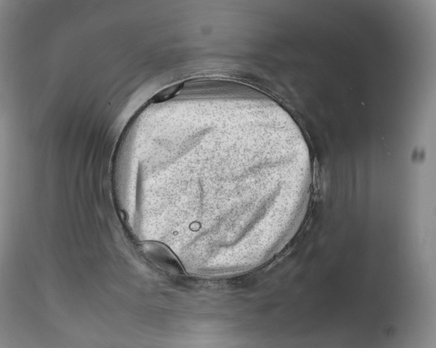 X0000111920099200908241101