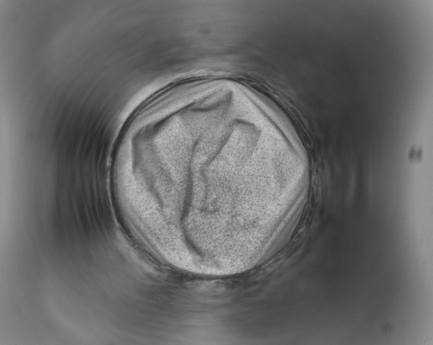 X0000111920100200908241101