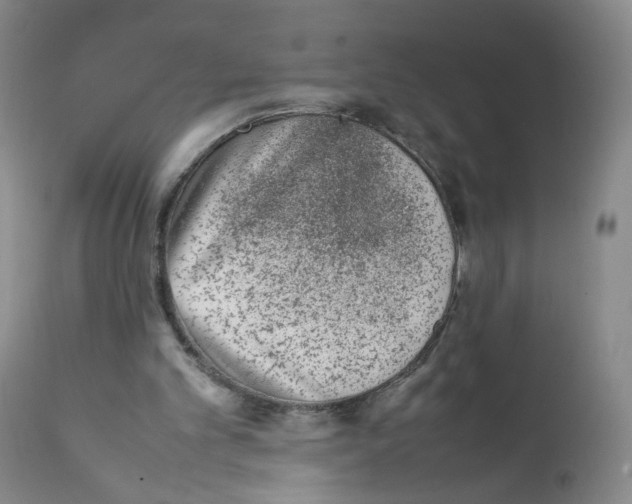 X0000111920101200908241100