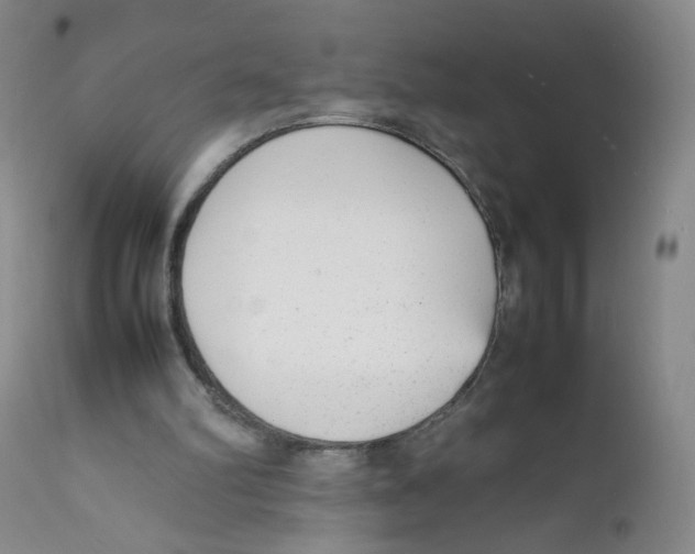 X0000111920102200908241100