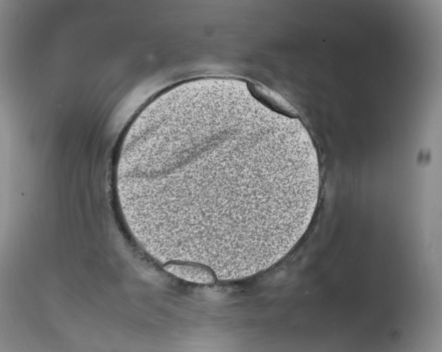 X0000111920103200908241100