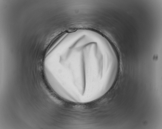 X0000111920105200908241100