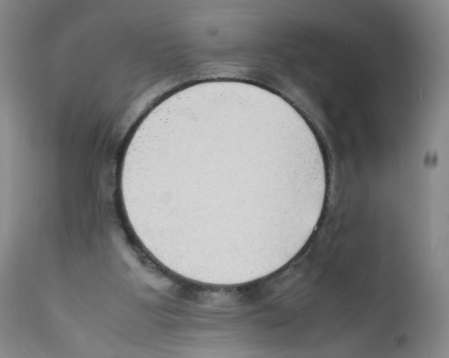 X0000111920107200908241100