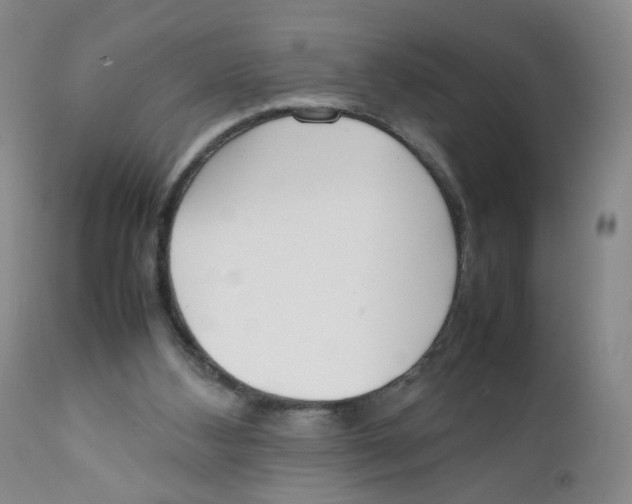 X0000111920108200908241100