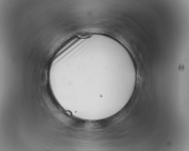 X0000111920109200908241100