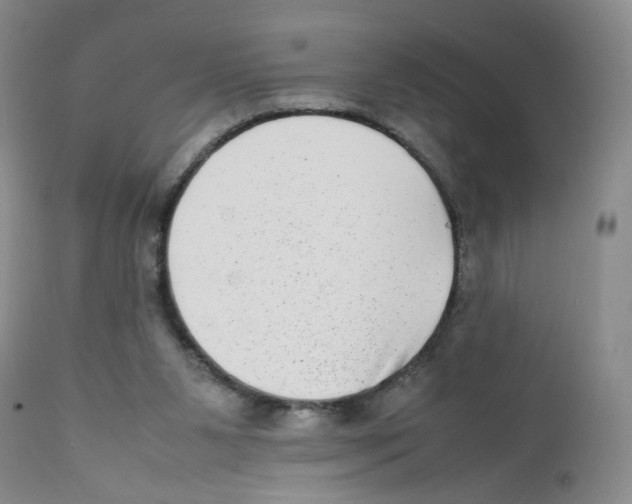 X0000111920111200908241100