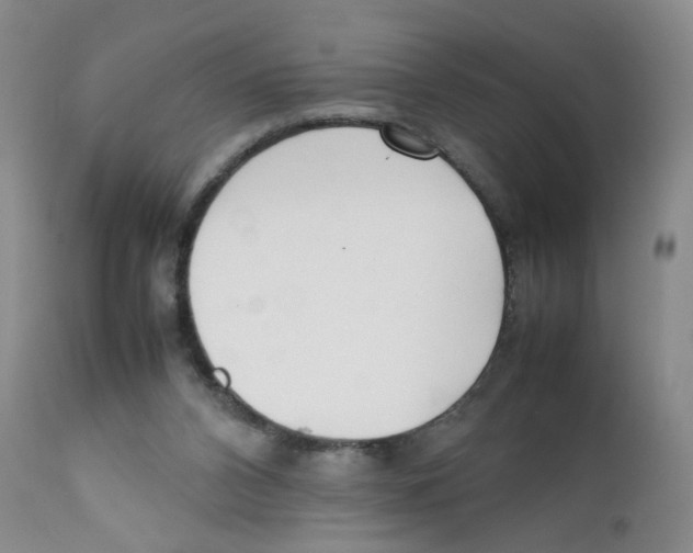 X0000111920112200908241100