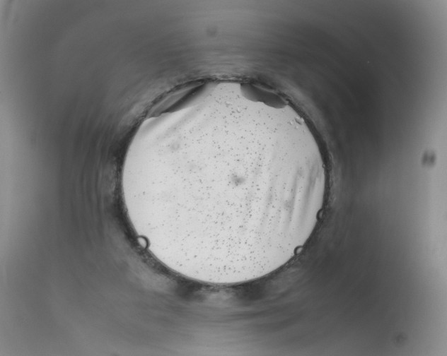 X0000111920113200908241100