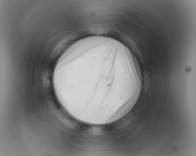 X0000111920114200908241100