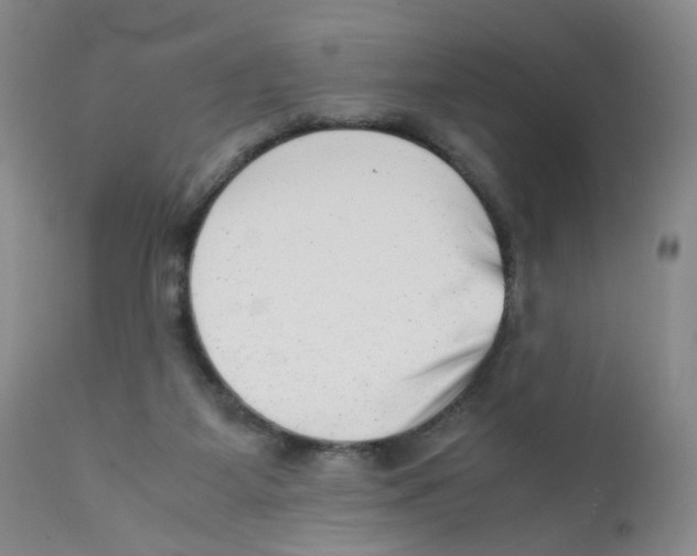 X0000111920115200908241100