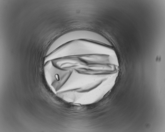 X0000111920117200908241100