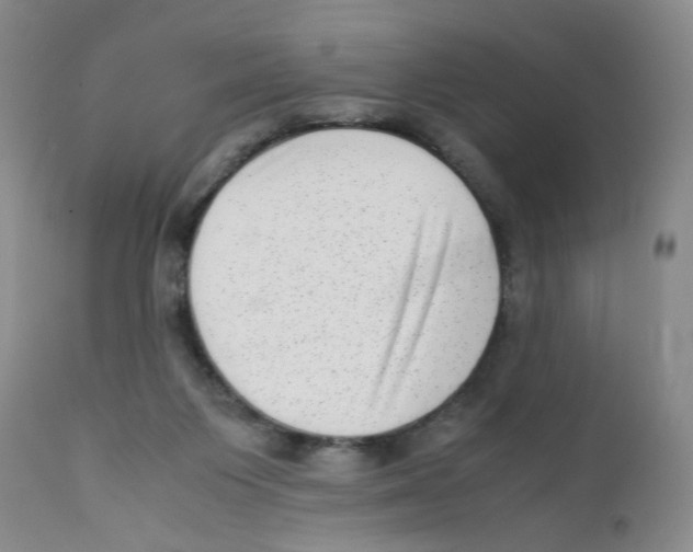 X0000111920119200908241100