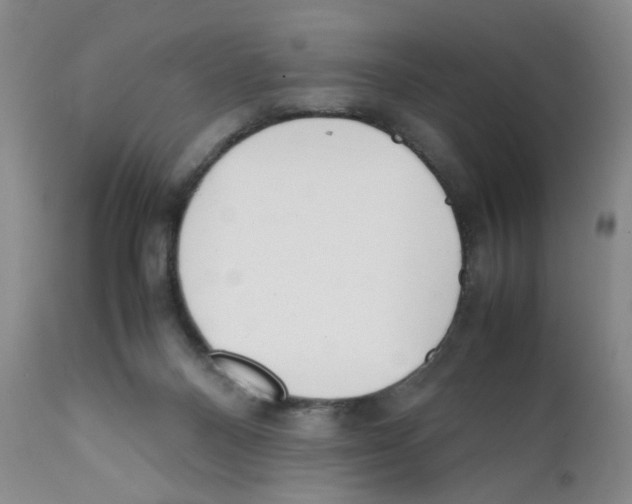 X0000111920120200908241100