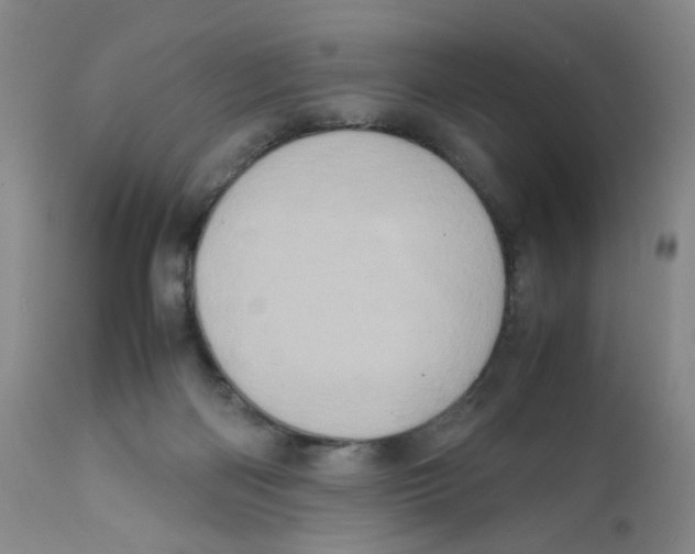 X0000111920122200908241100