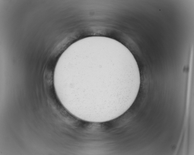 X0000111920123200908241100