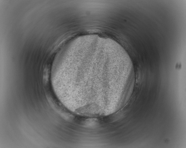 X0000111920124200908241100