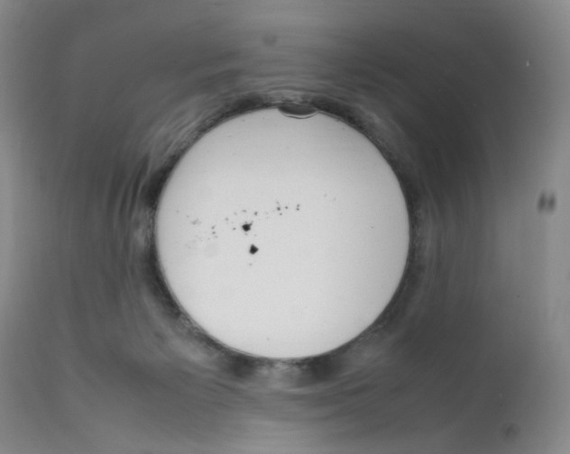 X0000111920125200908241100