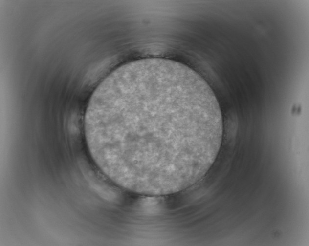 X0000111920126200908241100