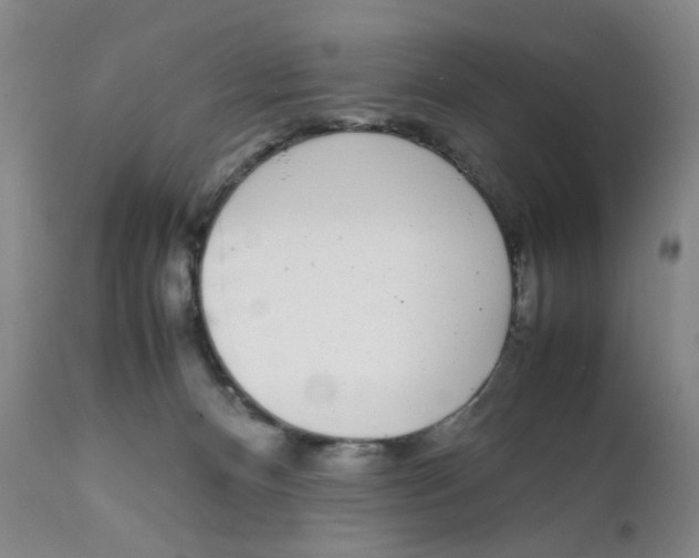 X0000111920128200908241100