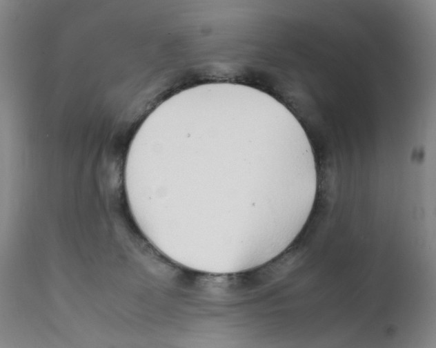 X0000111920131200908241100