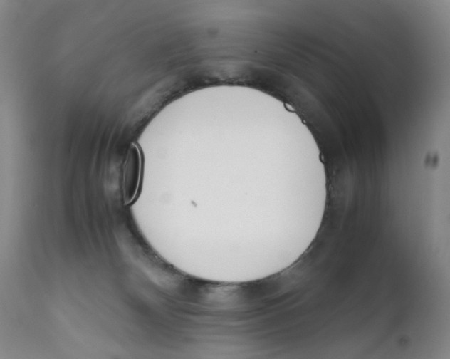 X0000111920132200908241100