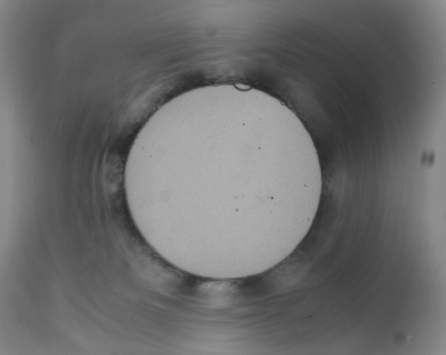 X0000111920133200908241100